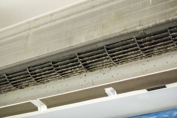 Best Affordable Duct Cleaning Services  in Mescal, AZ